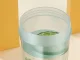 Kids Water Bottle 500ml, Leak Proof Reusable Bottle for School and Preschool, Green
