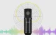 Puluz PU612B Studio Broadcast Condenser Microphone Black