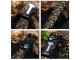 5-in-1 Survival Bracelet with Compass, Flint and Paracord, Camo