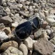 Trizand Poliarizuoti akiniai nuo saulės su UV 400 filtru (juodi/sidabriniai)