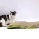 Gulsčias kartoninis draskyklė-gultas katėms, 43 cm