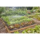 Gardena Micro-Drip-System laistymo sistemos rinkinys lysvėms