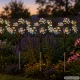 Solarinis sodo LED šviestuvas Kiaulpienė, daugiaspalvis, 70cm (2 vnt.)