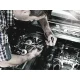 Wera 8767 C TORX HF 2 Zyklop TORX galvučių su antgaliais rinkinys su fiksavimo funkcija, 6 dalių