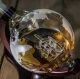 Viskio grafino ir stiklinių dovanų rinkinys Globe, 850 ml