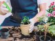 Garden Spade For Planting Transplanting Plants 32 cm