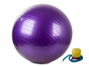 Gimnastikos kamuolys su pompa 65 cm, violetinis