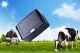 Gyvulių GPS seklys su saulės baterija ir 4G, 15 000 mAh, IP67