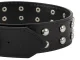 Dog Collar with Studs, Faux Leather, Adjustable, Size L