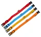LED Glowing Collar for Dogs and Cats, Size S, Orange