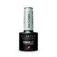 Claresa Ice Cream 5 Hybrid Gel Polish, 5g
