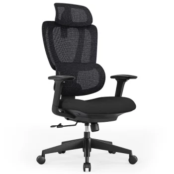 Ergonomiška biuro kėdė su galvos atrama ir juosmens atrama, juoda