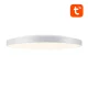 Išmanusis lubinis šviestuvas Gosund LB11 32cm WiFi/Bluetooth RGBCW 1920lm su pultu