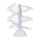 Vertical Nail Polish Swatch Stand 60 Tips WZ23 Transparent