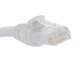 Cat 6 Ethernet Network Cable UTP LAN Patch Cord RJ45 15m, Grey