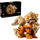 LEGO Pokémon 72160 Arcanine konstruktorius (1190 detalių)