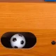Table Football Soccer for Kids, 51x31cm