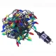 LED String Lights Pine Cone 100 LED 26ft Forever Light CLF-13, multicolor