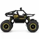 Nuotoliniu būdu valdomas visureigis bagis 1:16 su 4x4 pavara ir akumuliatoriumi