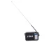 Nešiojamasis radijo imtuvas RDD RD-306 FM / AM / SW su LED žibintuvėliu, juodas