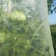 Rankovinė plėvelė pomidorams MR. TOMATO, 0,6 x 10 m, geltona