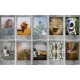 Fujifilm instax mini fotopopierius Stone Grey (10 vnt.)