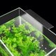 LED akvariumo šviestuvas 5W