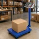 Elektroninės platforminės svarstyklės iki 100 kg, LCD, mėlynos