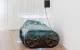 Belaidis baseinų valymo robotas Wybot C1 Pro