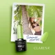 Claresa Summer Stories 3 Hybrid Nail Polish, Green, 5g