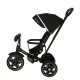 Ikonka TRIKE FIX Elite 2-in-1 Tricycle / Stroller, Black