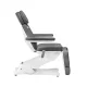 Sillon Classic Electric Beauty Chair with 3 Motors, Grey