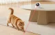 Rojeco RWJDZ-02 interaktyvus lazerinis žaislas katėms