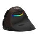 Delux M618 Mini belaidė ergonominė vertikali pelė