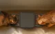 Oneisall PF09 Automatic Double Pet Feeder 5L with Dual Bowls