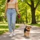 Automatinis pavadėlis šunims 5m, iki 15kg