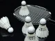 Feather Badminton Shuttlecocks 12-Pack Durable Birdies, White