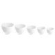 Silicone Mixing Bowl for Algae Masks and Cosmetics Size M, White