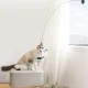 Fishing Rod With Suction Cup Cat Toy \"Bird\"