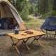 Sulankstomas turistinis stalas MultiGarden 120x60 cm su krepšiu