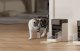 Petlibro PL-AF301-31B išmanusis automatinis šėrykla su RFID antkakliu, 3L