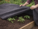 DIVODV juoda agrotekstilė nuo piktžolių 50g/m², 1.5m x 30m