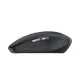 Belaidė pelė Wozinsky WMGK-1132 su RGB apšvietimu, juoda