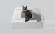Kačių tualeto gaubtas Petkit Front Entry Hood, skirtas Purobot Crystal Duo