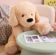 Gotel B48P Large Plush Dog Toy, 60 cm
