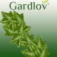 Dirbtinių gebenių girlianda Gardlov, 25,2 m, žalia