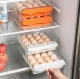 Egg Container Box, White/Transparent
