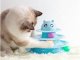 Interactive Cat Toy 3-Level Tower with 3 Balls, Blue