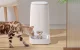 Rojeco Automatic Pet Feeder 4L Button Version - Single Stainless Steel Bowl