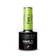 Claresa Fluo 2 Gel Polish 5g